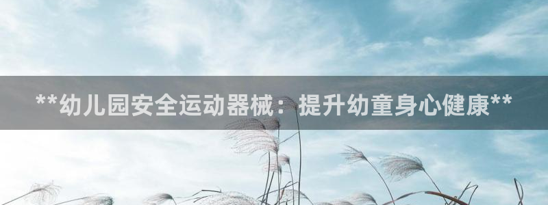 尊龙人生就是博ag：**幼儿园安全运动器械：提升幼童