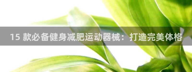 凯时登录首页,凯时K66：15 款必备健身减肥运动器