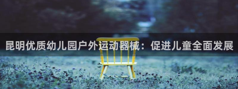 尊龙网址登录官网：昆明优质幼儿园户外运动器械：促进儿