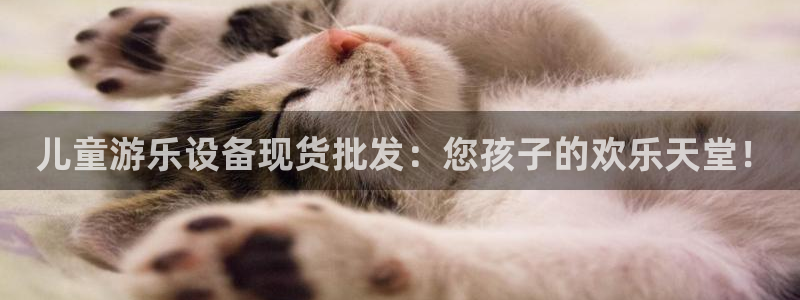 尊龙官方网站： 儿童游乐设备现货批发：您孩子的欢乐天