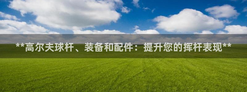 尊龙凯时的企业文化：**高尔夫球杆、装备和配件：提升