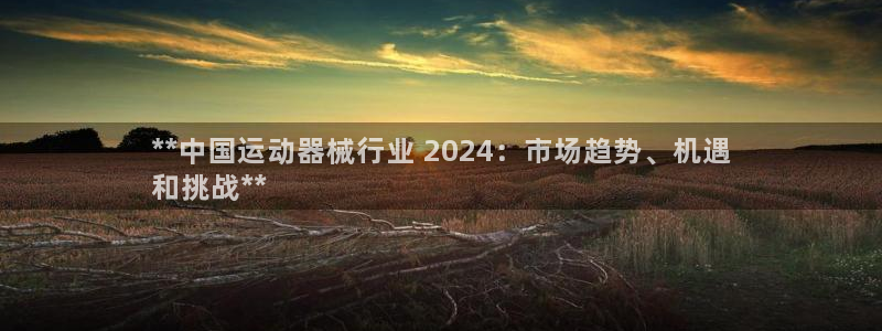 凯时k66官网登录：**中国运动器械行业 2024：