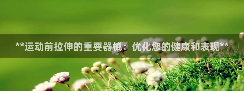 凯时平台登录：**运动前拉伸的重要器械：优化您的健康
