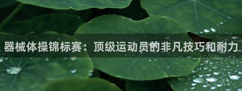 尊龙凯时法拉币：器械体操锦标赛：顶级运动员的非凡技巧