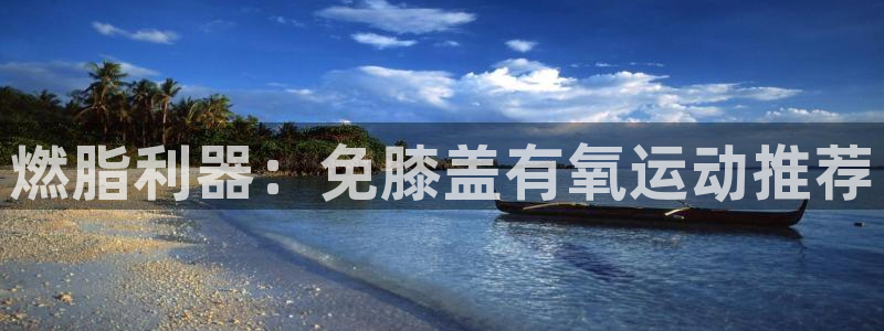 ag尊龙凯时官网：燃脂利器：免膝盖有氧运动推荐
