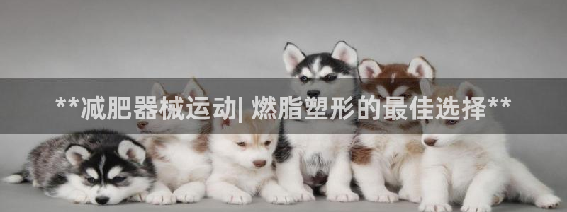 尊龙负面新闻：**减肥器械运动| 燃脂塑形的最佳选择