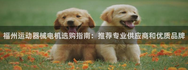 尊龙凯时网页版：福州运动器械电机选购指南：推荐专业供