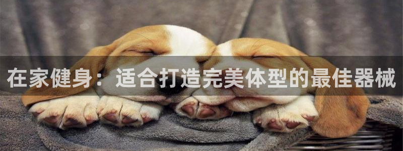 尊龙凯时官网：在家健身：适合打造完美体型的最佳器械