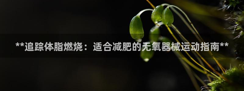 尊龙人生就是博登录：**追踪体脂燃烧：适合减肥的无氧