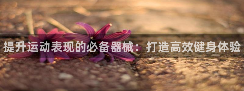 尊龙凯时取款不成功：提升运动表现的必备器械：打造高效