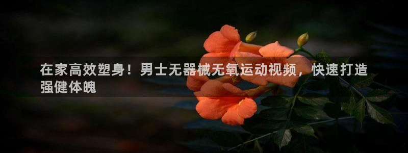尊龙凯时网站不让提款：在家高效塑身！男士无器械无氧运