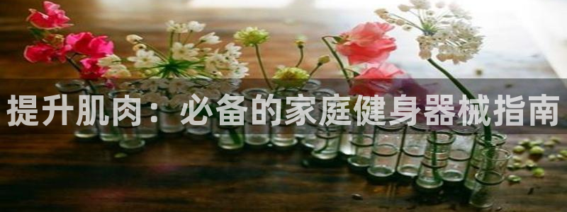 尊龙专访：提升肌肉：必备的家庭健身器械指南