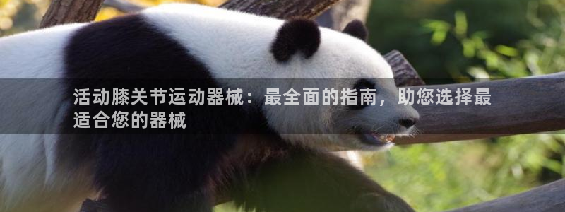 尊龙官网免费下载安装：活动膝关节运动器械：最全面的指