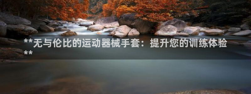 尊龙官网免费下载安卓：**无与伦比的运动器械手套：提