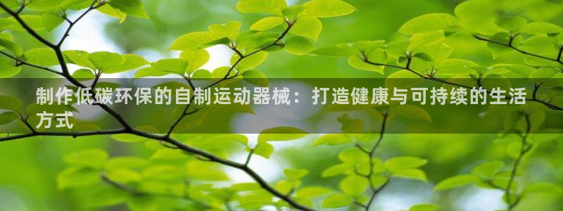 凯时登录界面：制作低碳环保的自制运动器械：打造健康与