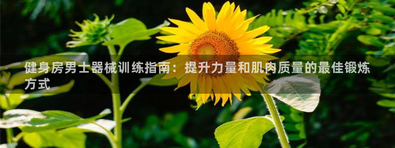 尊龙登录地址：健身房男士器械训练指南：提升力量和肌肉