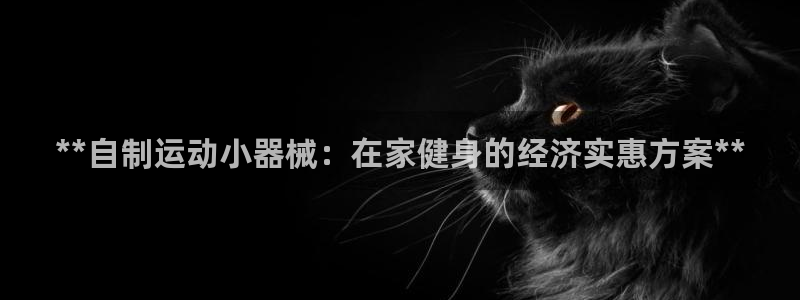 凯时平台app：**自制运动小器械：在家健身的经济实