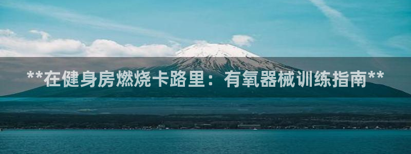 Z6尊龙老版：**在健身房燃烧卡路里：有氧器械训练指