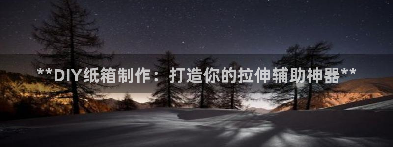 尊龙凯时平台还是万搏好：**DIY纸箱制作：打造你的