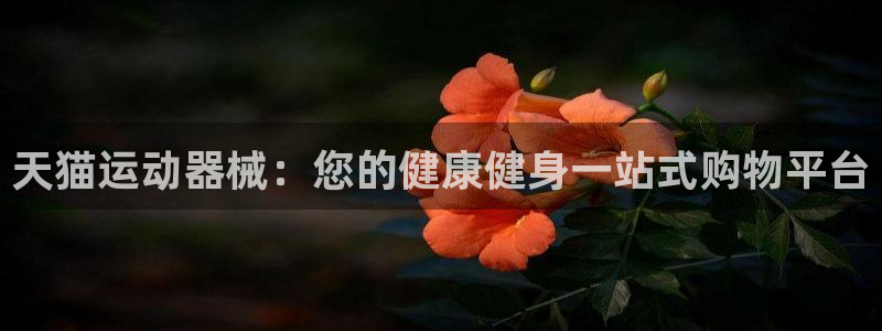 尊龙ag旗舰厅官网官方入口：天猫运动器械：您的健康健