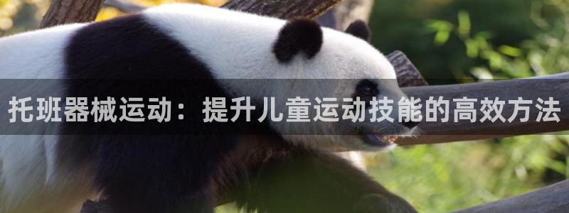 尊龙人生就是博客服