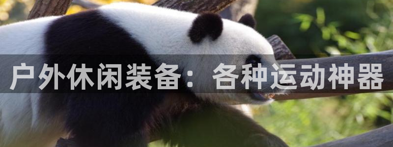 z6com尊龙凯时百家乐下载