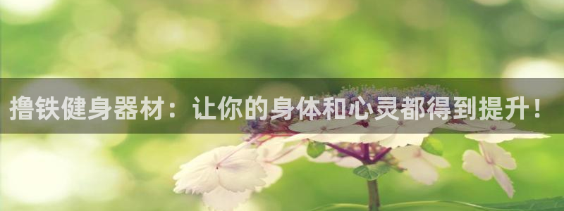 凯时最新官方APP下载