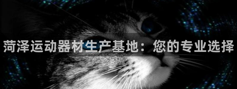 尊龙t400和尊龙t300区别