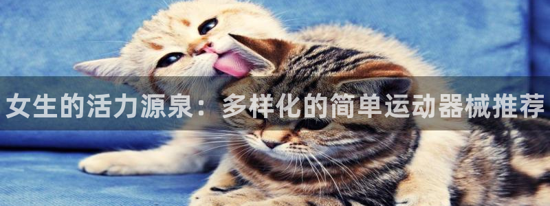 尊龙科技
