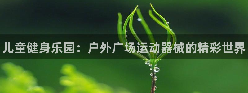 尊龙官方网站是真的吗：儿童健身乐园：户外广场运动器械的精彩世