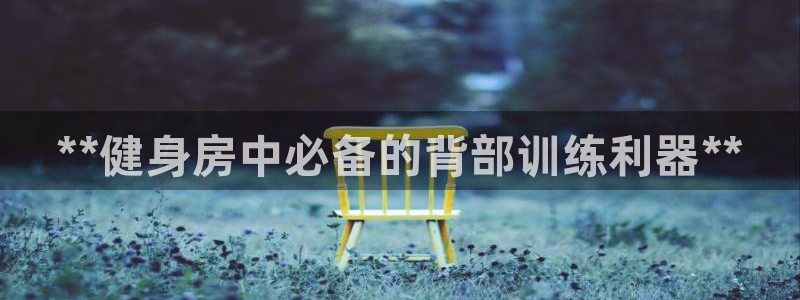 AG尊龙注册在线游戏：**健身房中必备的背部训练利器