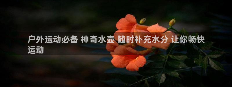 尊龙官方app下载：户外运动必备 神奇水壶 随时补充