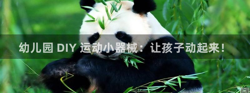 尊龙人生就是博D88：幼儿园 DIY 运动小器械：让