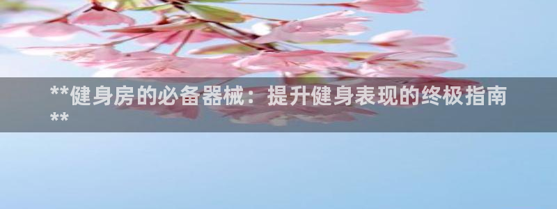 尊龙d88平台版下载：**健身房的必备器械：提升健身表现的终