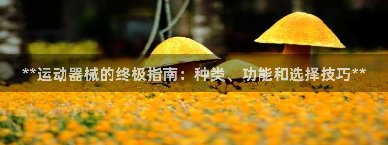 尊龙尊龙：**运动器械的终极指南：种类、功能和选择技