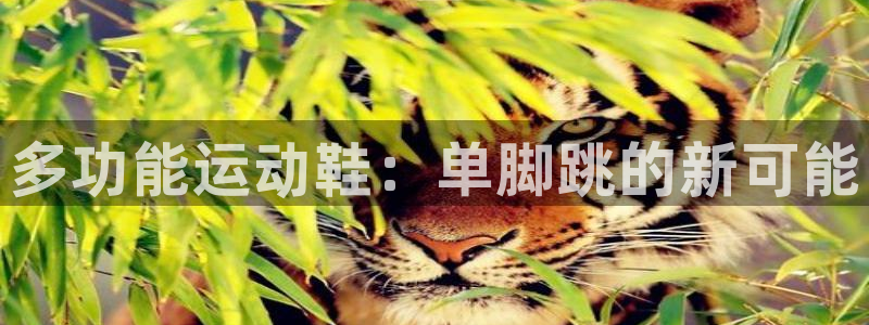 d88尊龙手机登录下载：多功能运动鞋：单脚跳的新可能