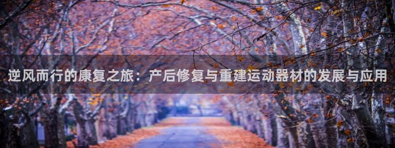 尊龙ktv怎么样：逆风而行的康复之旅：产后修复与重建