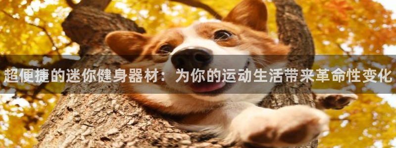 尊龙凯时的生产设备：超便捷的迷你健身器材：为你的运动生活带来