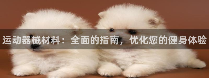 尊龙凯时有假么：运动器械材料：全面的指南，优化您的健身体验