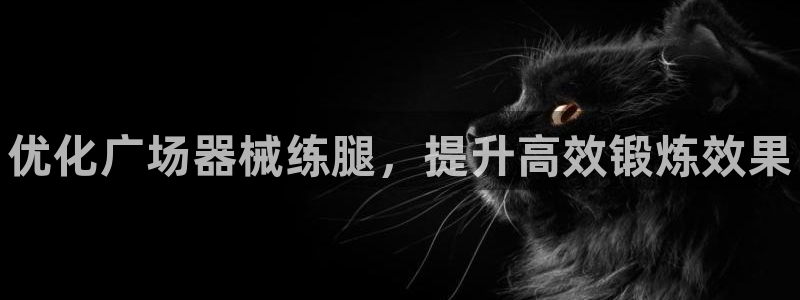 尊龙是什么软件：优化广场器械练腿，提升高效锻炼效果