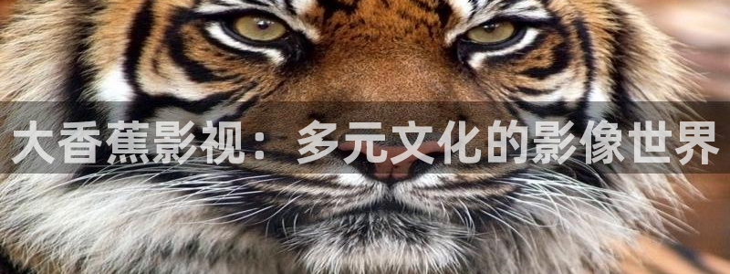 海狮视频下载