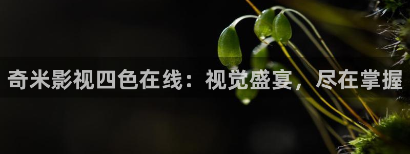 海狮影视