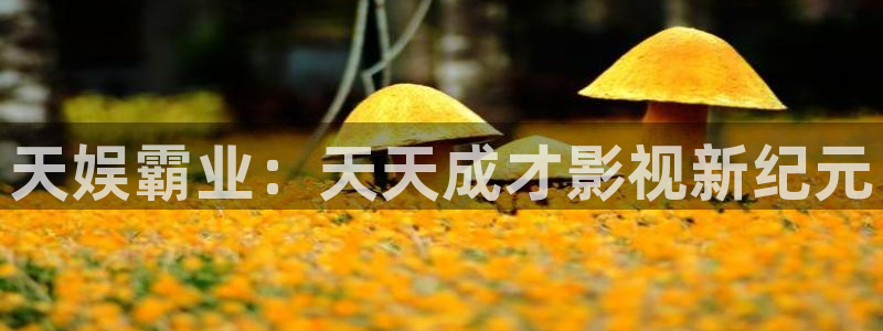 海狮视频免费观看所有电视剧大全：天娱霸业：天天成才影视新纪元