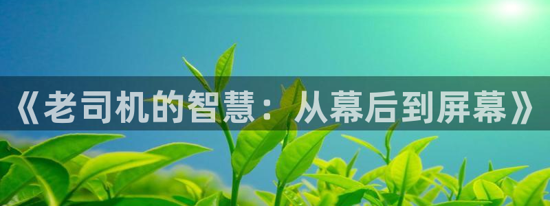 海狮影视：《老司机的智慧：从幕后到屏幕》